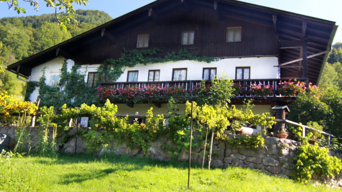 Ferienwohnungen Lohner im Haus Hinterwiesen